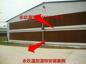91香蕉app最新版下载安装现场