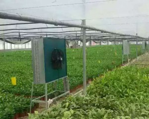 91香蕉app官网安装现场